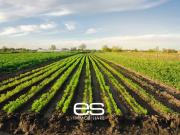 Terreno in vendita a Cassago Brianza LC