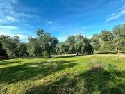 Terreno in vendita a Cassano delle Murge BA
