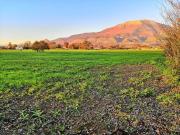 Terreno in vendita a Aquino FR