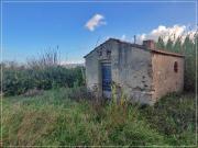 Terreno in vendita a Castagneto Carducci LI