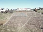 Terreno in vendita a Castagnole delle Lanze AT