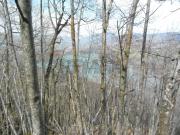 Terreno in vendita a Castel di Casio BO