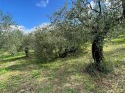 Terreno in vendita a Castel Madama RM