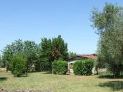 Terreno in vendita a Castel Sant'Elia VT