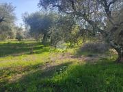 Terreno in vendita a Castel Sant'Elia VT