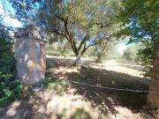 Terreno in vendita a Castel Sant'Elia VT