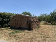 Terreno in vendita a Castel Sant'Elia VT