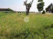 Terreno in vendita a Castelbelforte MN