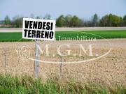Terreno in vendita a Castelfranco di Sotto PI