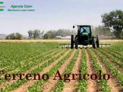 Terreno in vendita a Castelfranco Veneto TV