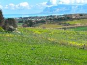 Terreno in vendita a Castellammare del Golfo TP
