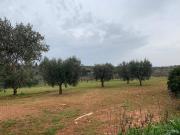 Terreno in vendita a Castellana Grotte BA