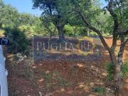 Terreno in vendita a Castellana Grotte BA