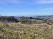 Terreno in vendita a Castellina Marittima PI