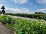Terreno in vendita a Castello di Godego TV