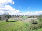 Terreno in vendita a Castelnuovo Berardenga SI