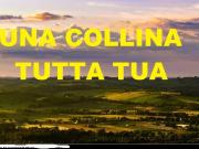 Terreno in vendita a Castelnuovo del Garda VR