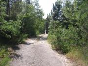 Terreno in vendita a Castelnuovo di Val di Cecina PI