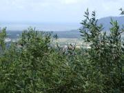 Terreno in vendita a Castelnuovo Magra SP