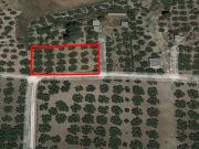 Terreno in vendita a Castelvetrano TP