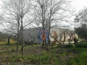 Terreno in vendita a Castelvetrano TP