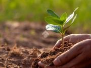 Terreno in vendita a Castelvetrano TP