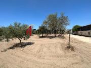 Terreno in vendita a Castelvetrano TP