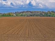 Terreno in vendita a Castelvetrano TP
