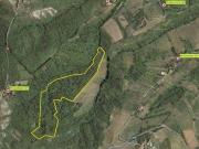 Terreno in vendita a Castelvetro di Modena MO