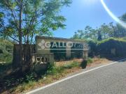 Terreno in vendita a Castiglione Cosentino CS