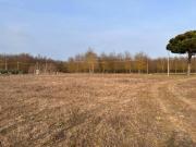 Terreno in vendita a Castiglione del Lago PG