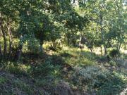 Terreno in vendita a Castiglione del Lago PG