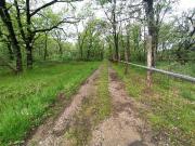Terreno in vendita a Castiglione del Lago PG