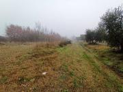 Terreno in vendita a Castiglione del Lago PG