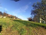 Terreno in vendita a Castiglione del Lago PG