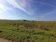 Terreno in vendita a Castiglione del Lago PG
