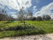 Terreno in vendita a Castiglione del Lago PG