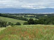 Terreno in vendita a Castiglione del Lago PG