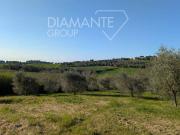 Terreno in vendita a Castiglione del Lago PG