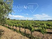 Terreno in vendita a Castiglione del Lago PG