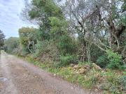 Terreno in vendita a Castiglione della Pescaia GR