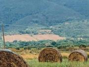 Terreno in vendita a Castiglione della Pescaia GR