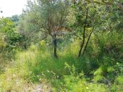 Terreno in vendita a Castiglione di Sicilia
