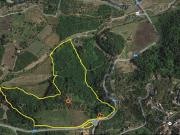 Terreno in vendita a Castiglione di Sicilia CT