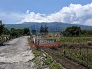 Terreno in vendita a Castiglione di Sicilia CT