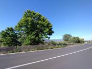 Terreno in vendita a Castiglione di Sicilia CT