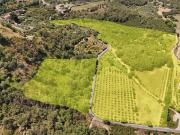 Terreno in vendita a Castiglione di Sicilia CT