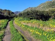 Terreno in vendita a Castiglione di Sicilia CT