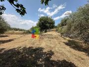 Terreno in vendita a Castiglione di Sicilia CT