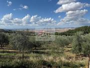 Terreno in vendita a Castiglione d'Orcia SI